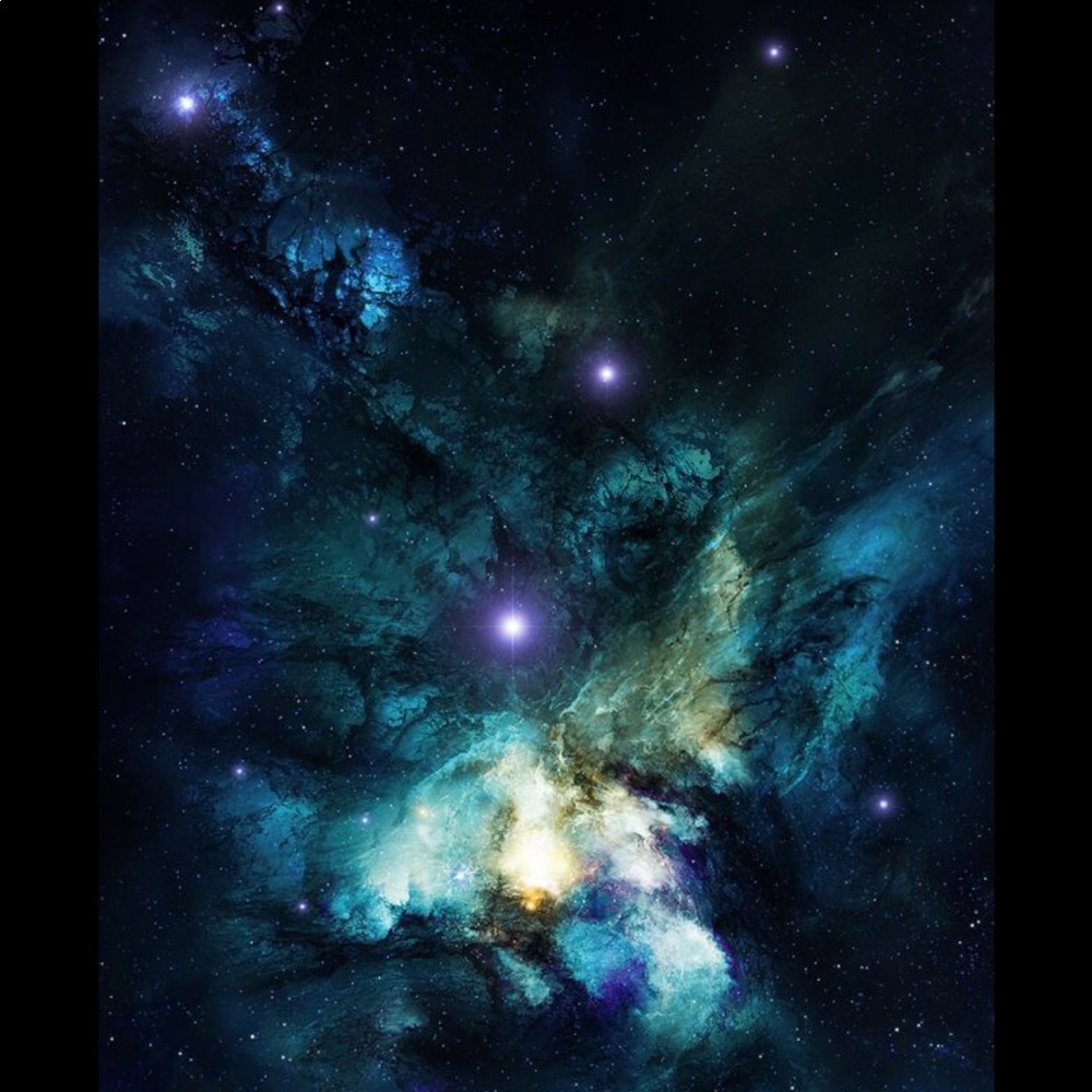 Meet your Posher, Denisha